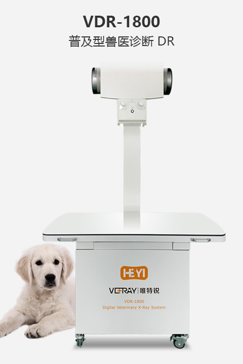 普及型獸醫(yī)診斷DR